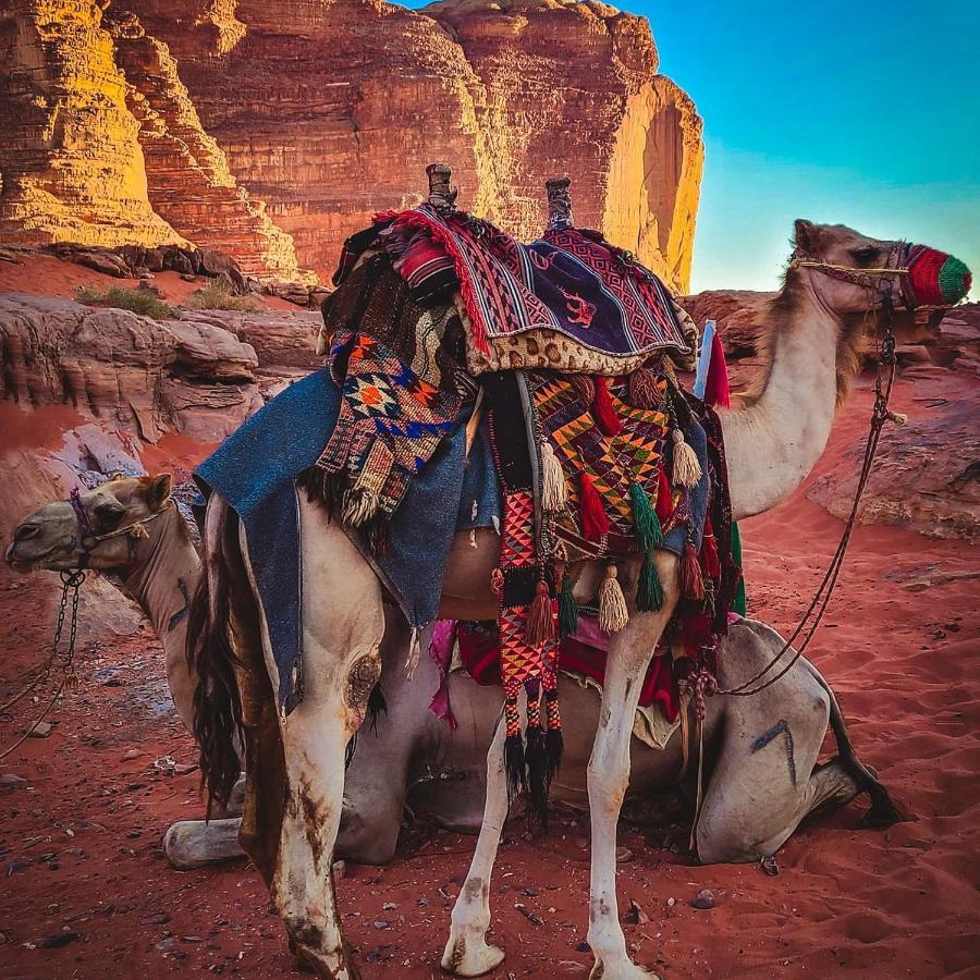 Wadi Rum Bedouin Time Dış mekan fotoğraf