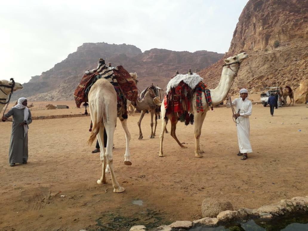 Wadi Rum Bedouin Time Dış mekan fotoğraf